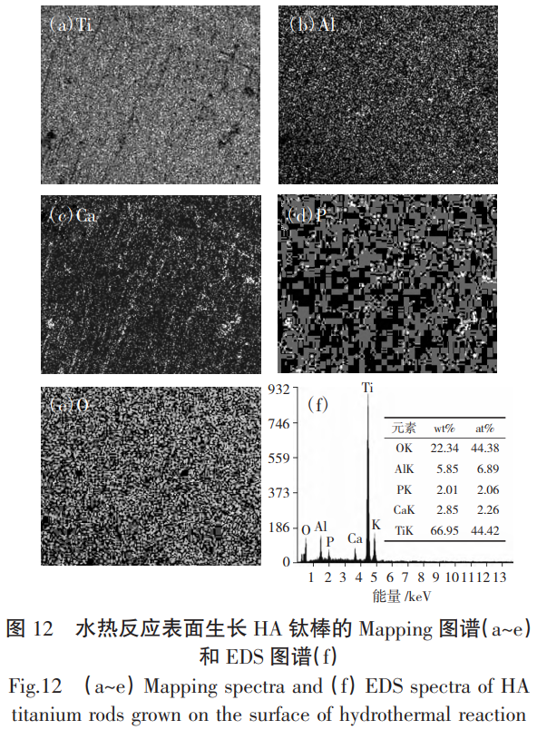 截圖20251124094322.png